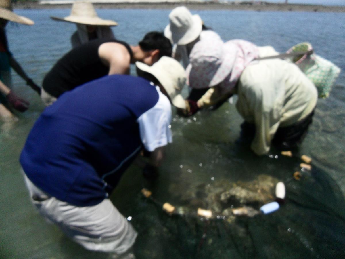 Penghu Chenhi Bay Homestay 바이샤 외부 사진